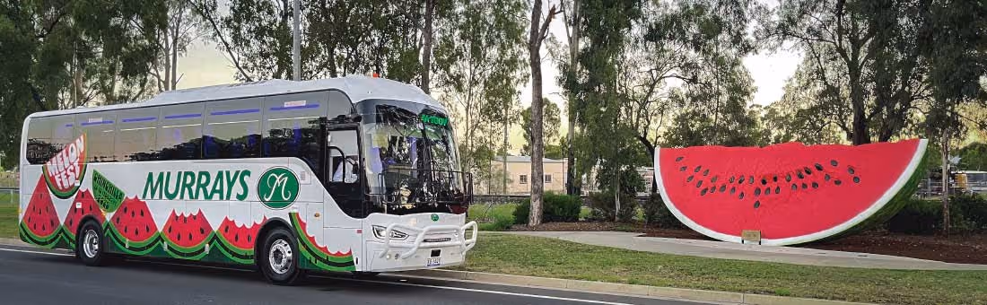 Image of a Murrays bus in a Chinchilla Melon Festival Wrap out the front of the big watermelon in Chinchilla.
